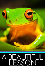 Lessons from Frogs: Embodying Your…