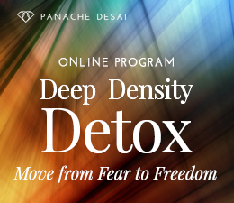 Deep Density Detox - Dismantling your Core Fears