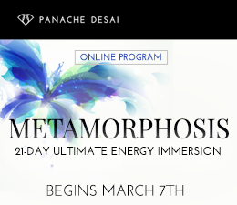 21days-immersion-product