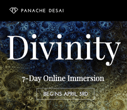Panache Desai - Divinity Online Immersion Free Gift