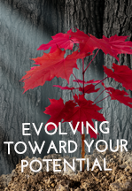 Evolving Toward Your Potential - Panache Desai