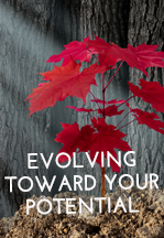 Evolving Toward Your Potential