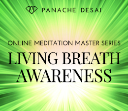 Meditation Master Series - Living Breath Awareness
