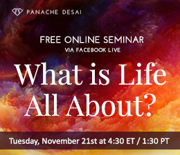 Free Online Seminar - What is Life All About - Panache Desai