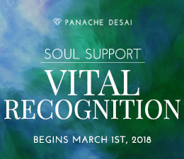 March Soul Support - Vital Recognition - Panache Desai