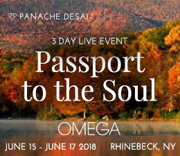 3-Day Live Event - Passport to the Soul - Panache Desai