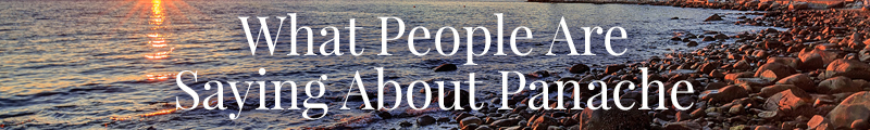 What People Are Saying About Panache Desai