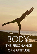 Body - The Resonance of Gratitude - FreeMeditation
