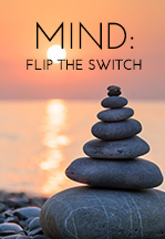 Mind - Flip the Switch - Free Meditation