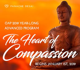 2019 Optimal Acceleration Program - The Heart of Compassion