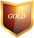 Gold Participation - Transformational Mentoring