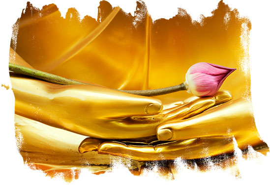 Buddha Sacred Teachings