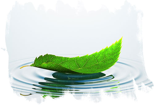 Online Meditation Program