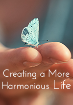 Four Steps to Living a More Harmonious Life