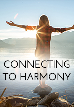 Connecting To Harmony