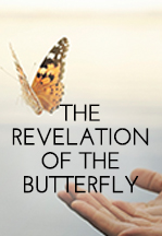 The Revelation of The Butterfly