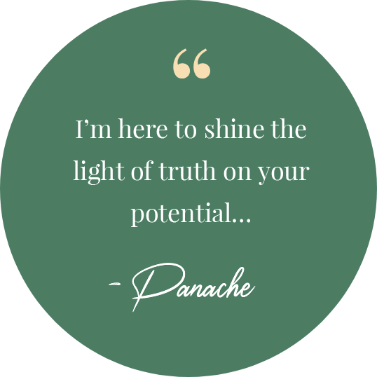 Im-here-to-shine